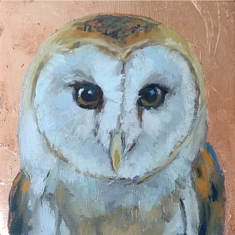 Mr. Owl